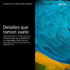 Tóner Xerox 006r01552 Original, Negro