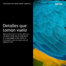 Tóner Xerox 006r04381 Original, Negro