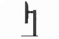Monitor Lg 24ba650 Led, 23.8