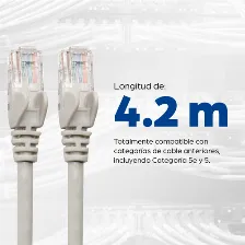 Cable Intellinet Patch Cat6 Utp, Rj-45 Macho - Rj-45 Macho, 5 Metros, (336765) Gris