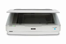 Escaner Epson Expression 13000xl Resolución 2400 X 4800 Dpi, Usb, Blanco