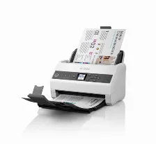 Escaner Epson Ds-730n Resolución 600 X 600 Dpi, Escáner A Color, Usb, Negro, Gris