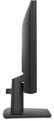 Monitor Dell Pro E2026h Lcd, 19.5