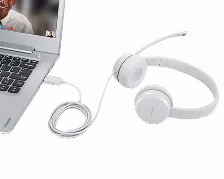 Audífonos Lenovo Gxd1e71385 Muñeca, Alámbrico, Usb, Gris