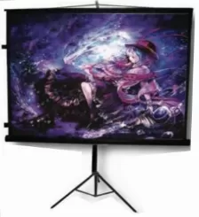 Pantalla Proyección Multimedia Screens Mst-244 2.44 M (96