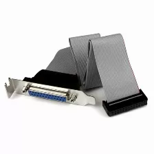 Cable Startech (plate25f16lp), Adaptador De 40cm Header Cabezal Bracket Paralelo Perfil Bajo Db25 A Idc26 Pines Placa Base