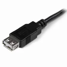Extensión Startech Usb 2.0 De Alta Velocidad Hi Speed - Macho A Hembra Usb A - Negro (usbextaa6in)